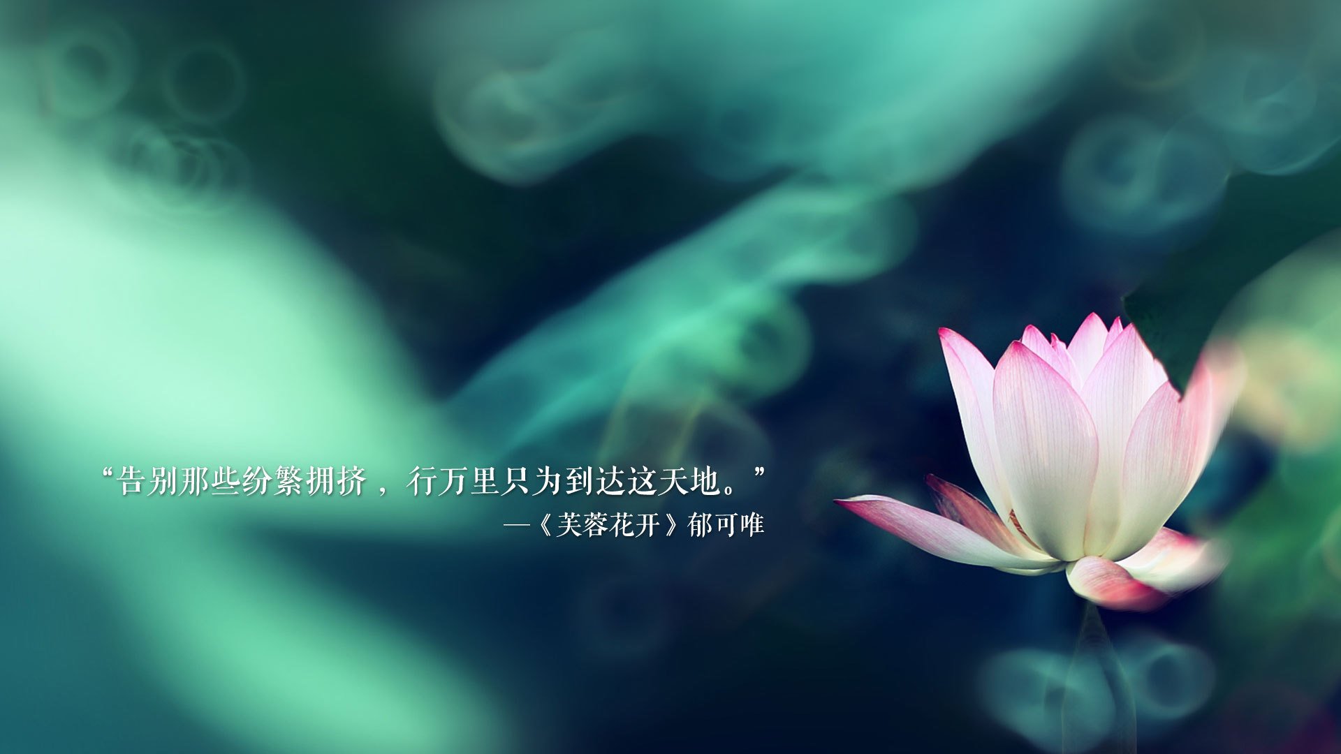 多场比赛零封对手球队防守稳定性成为赢球的重要保障，什么叫零封对手